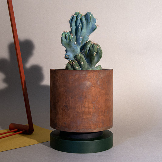 IRON POT No.08 - Matsu