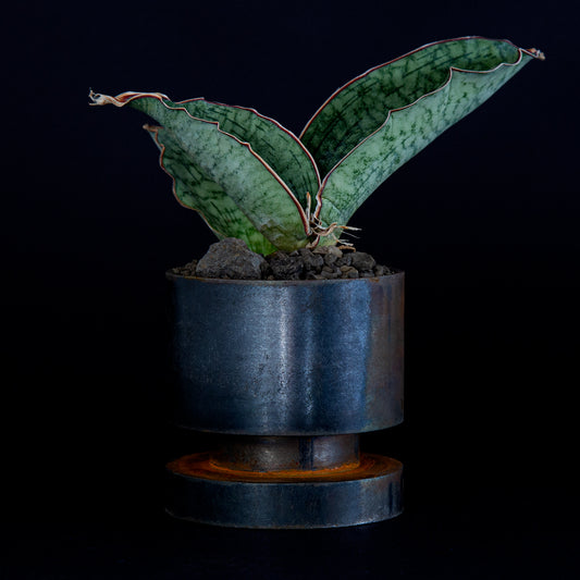 IRON POT No.01 - Natural